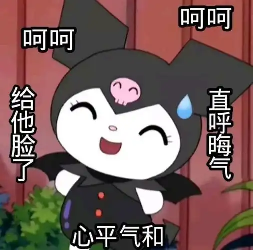 呵呵呵呵给他脸了直呼晦气心平气和库洛米表情包系列