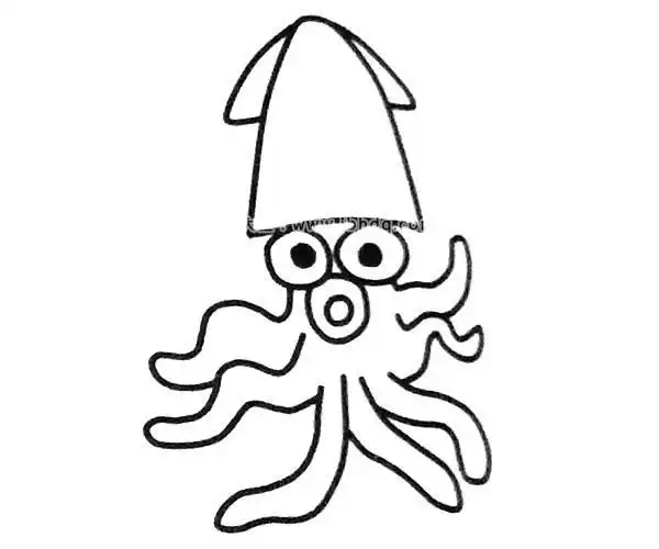 可爱的小鱿鱼简笔画
