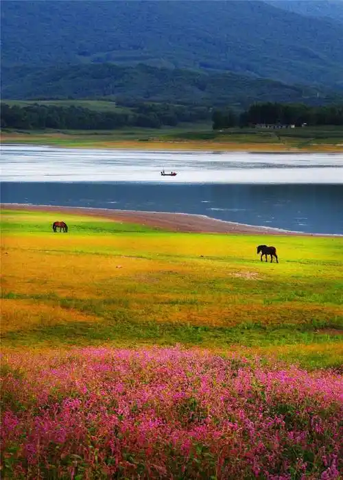 清明假期来吉林,赴一场山水间的诗意旅程67