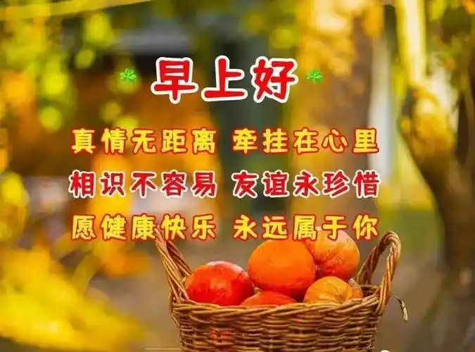 9张最新有创意的亲人朋友早上好祝福语表情图片带字 免打字的早安问候