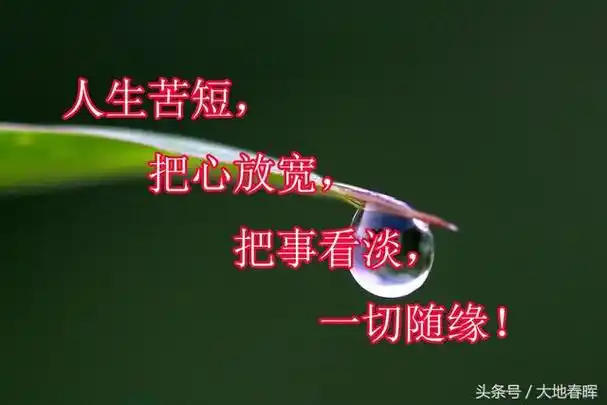 人生苦短学会放弃一些事(人生苦短把心放宽)(1)