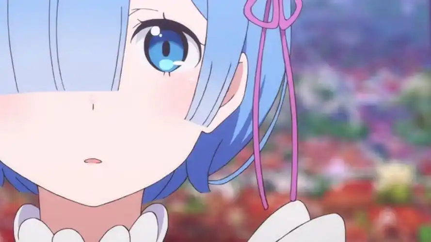 "因为昴是雷姆的英雄"