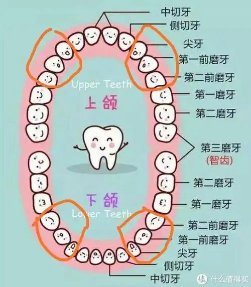 生活杂记 篇二:人到中年,警惕牙齿楔状缺损,说一说我的两次补牙经历