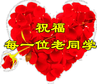 老同学心连心人生路上你最亲致我最思念的老同学们