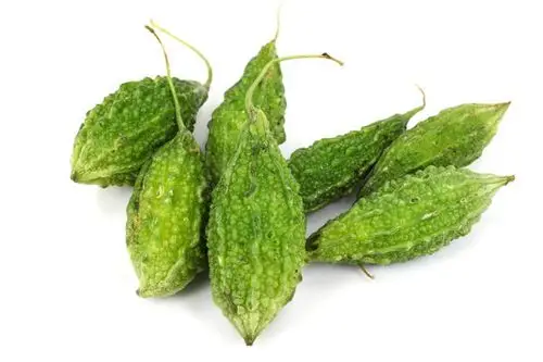 苦瓜,苦味,葫芦属植物