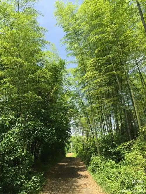 富阳山里的景色