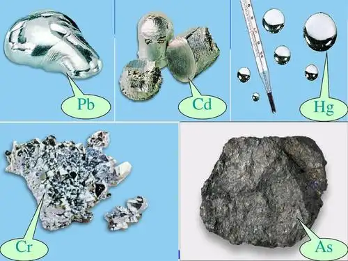 重金属污染治理与修复ppt