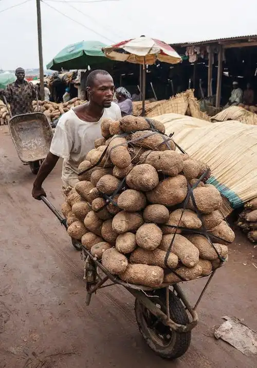 非洲人平时都吃什么? 许多食物看见了都不知道怎么吃!