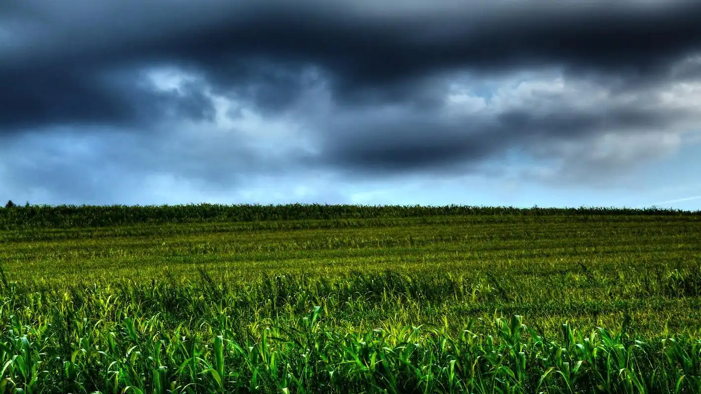 绿色养眼护眼自然美景桌面壁纸