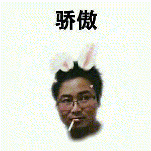 骄傲中表情包 - 表情图