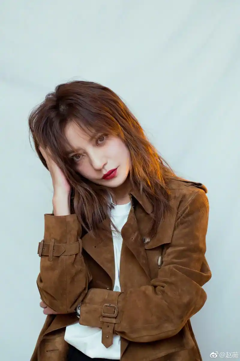 霸气!赵薇被黑粉讽刺:你好啊,新加坡人,本尊2字反驳