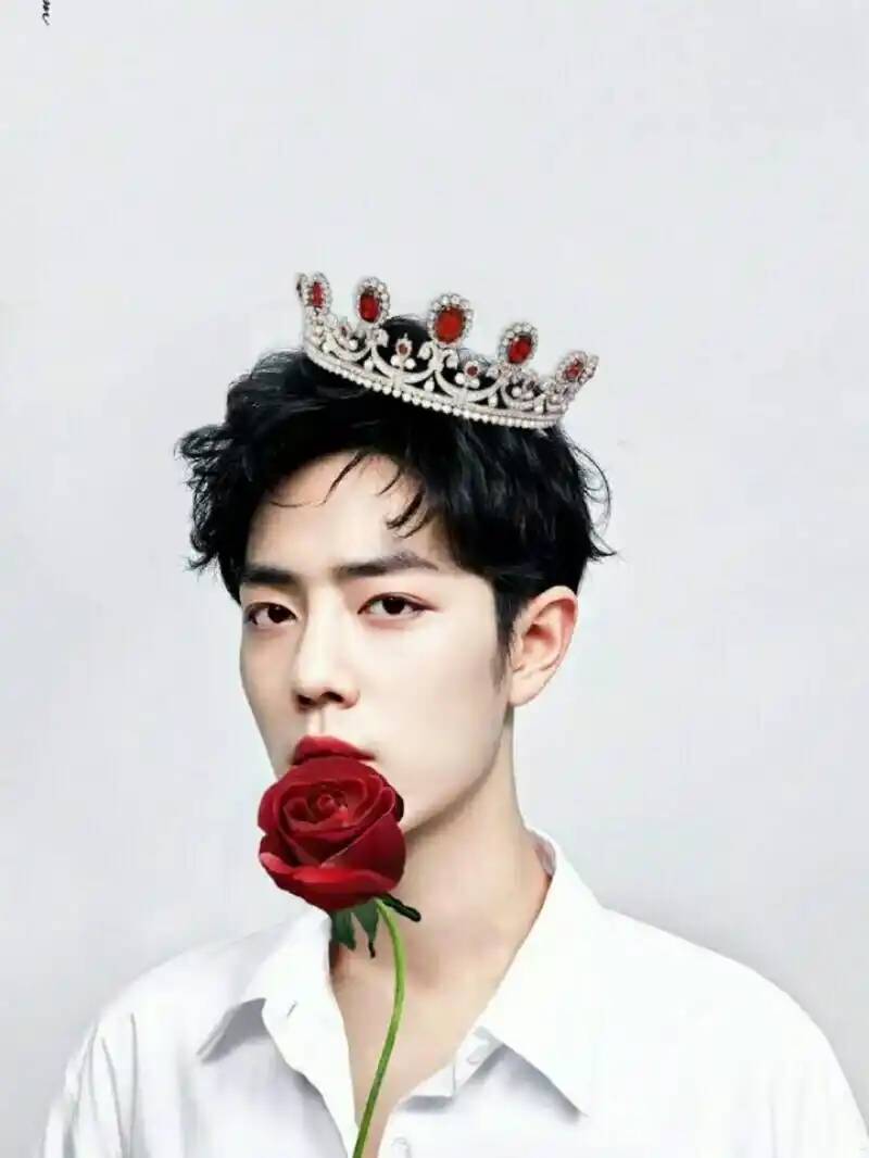 肖战个人资料 肖战个人资料