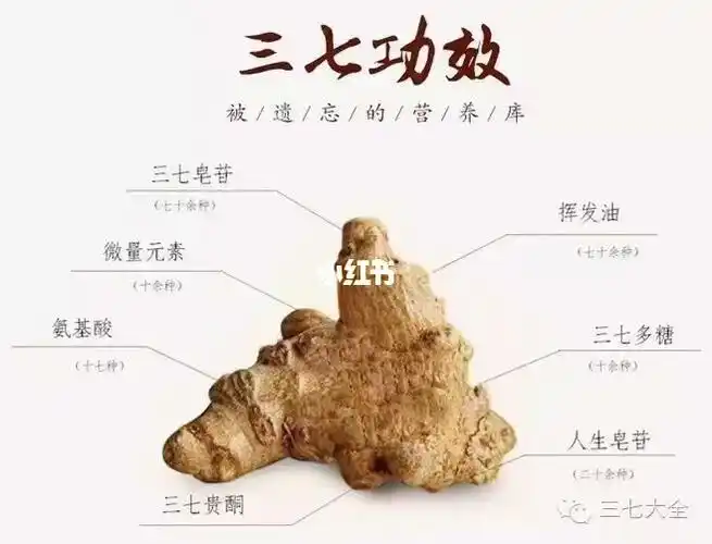 三七花也可以泡茶喝有不错的保健功效