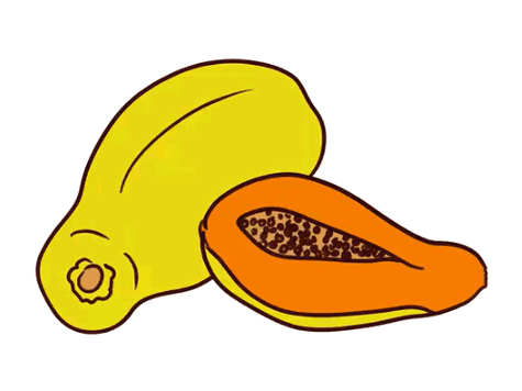 水果木瓜简笔画