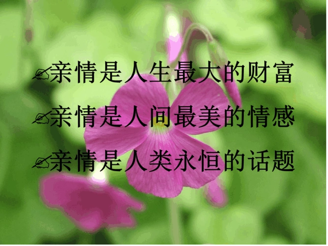 中学主题班会亲情感恩主题班会课件