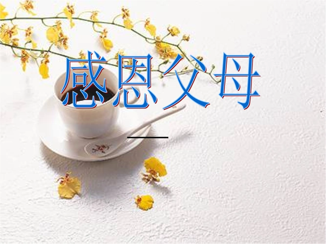 感恩父母综合实践精编.ppt