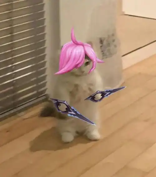 英雄联盟猫猫表情包第三期