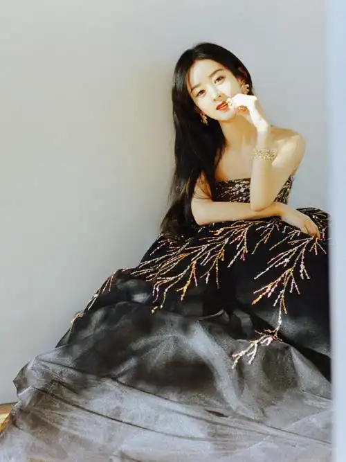 赵丽颖星光大赏