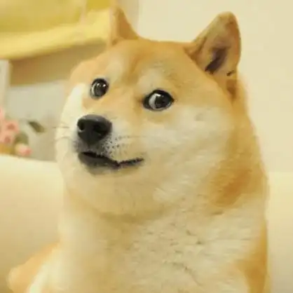 红遍全球的狗狗表情包原型去世!爆红14年,连马斯克都是它的迷弟.