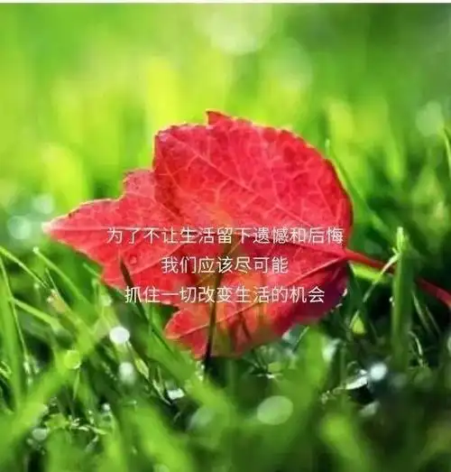 人生感悟的句子短句『佛说人生感悟的句子短句』