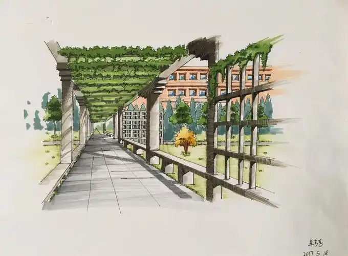 自主选择表现形式,采用水彩,速写,手绘等形式不拘一格地手绘校园美景