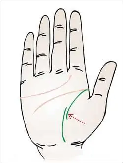 生命线图解:生命线断开预示着什幺?