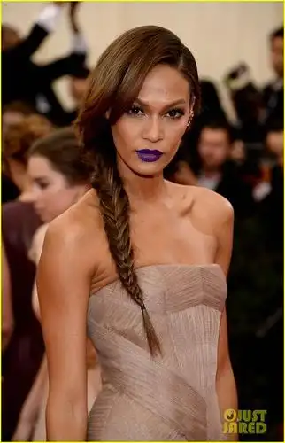 琼·斯莫斯 joan smalls的图片