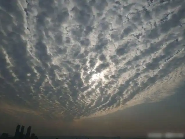 天空中的云彩像鱼鳞一样一片一片,汶川地震发生之前,就出现了这样的