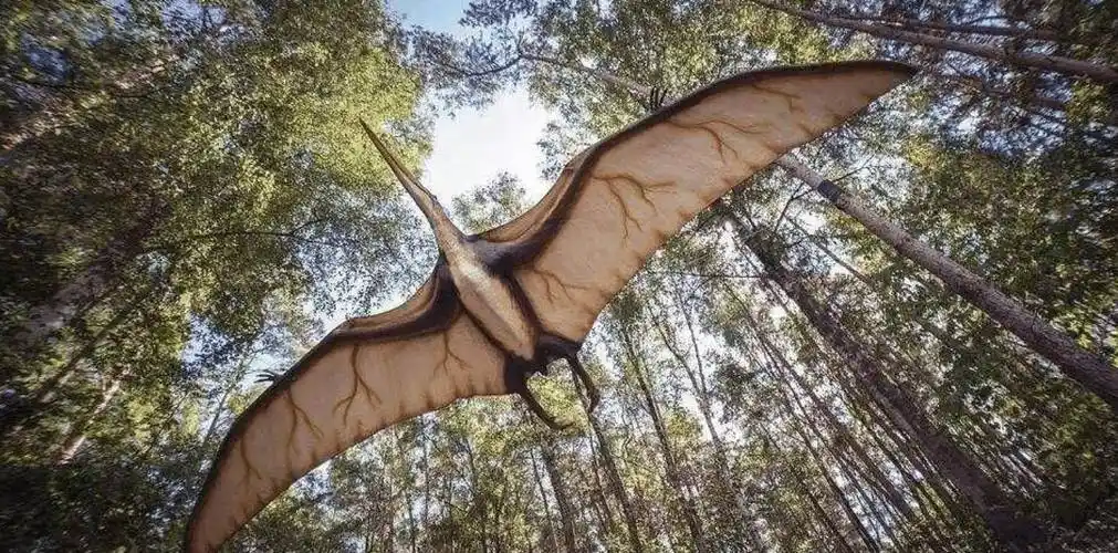 原创1864年美国士兵击落一条远古翼龙还拍下照片做证据没ps痕迹