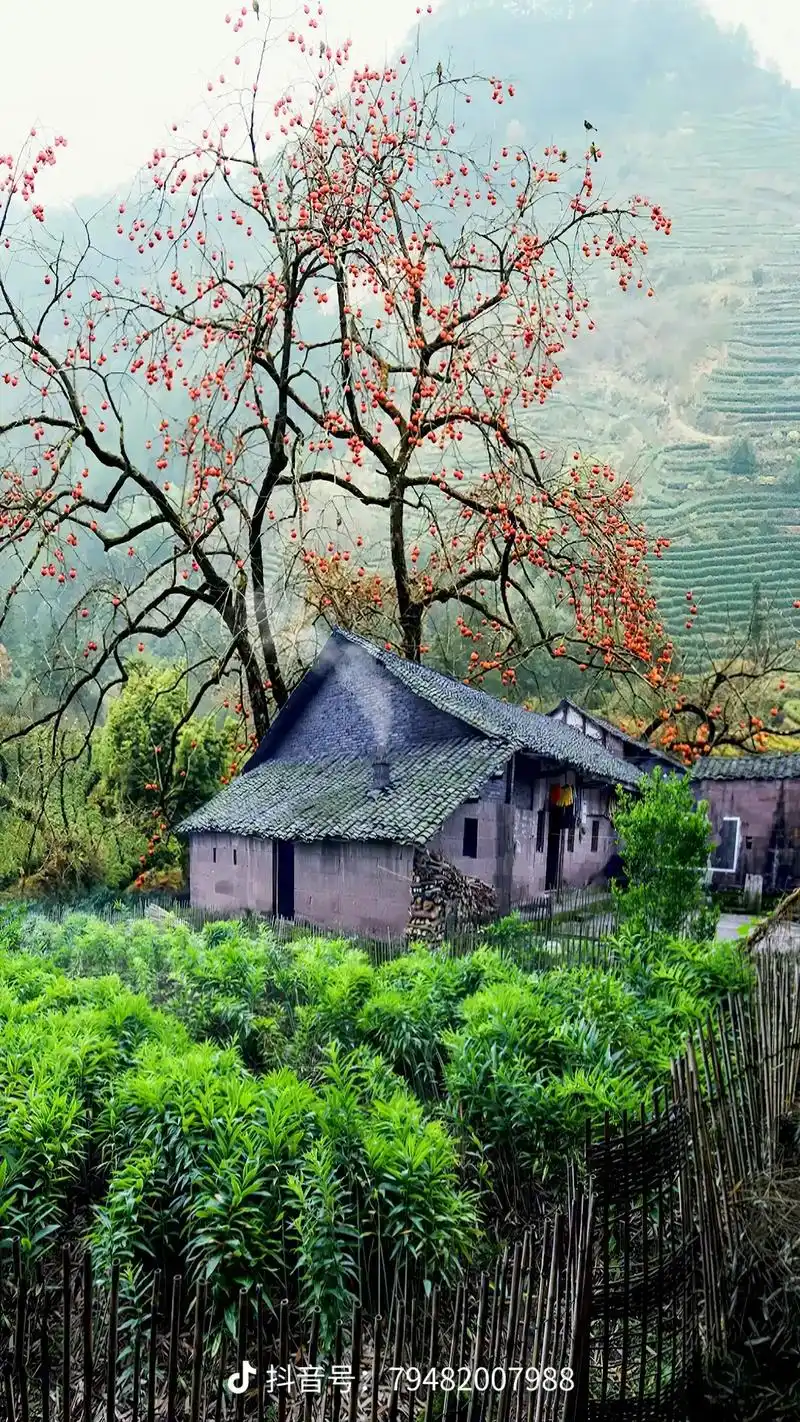 请您欣赏 ,自然美才是真的美 ,好山好水好风景 ,这就是农村 - 抖音