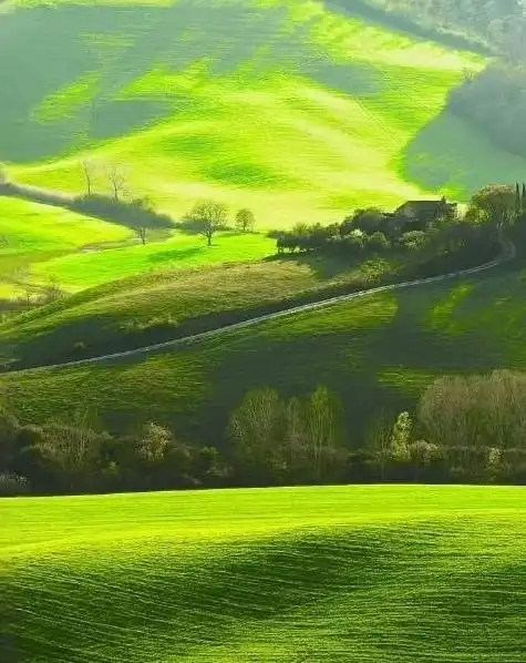 绿色象征希望,是宁静的色彩,是生命的衬托,是健康的保证