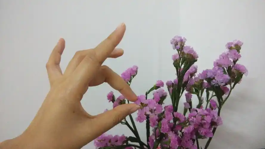 69 赞消费 69 【兰花指】拈花惹草的兰花指~~   兰花指拈花才秀气