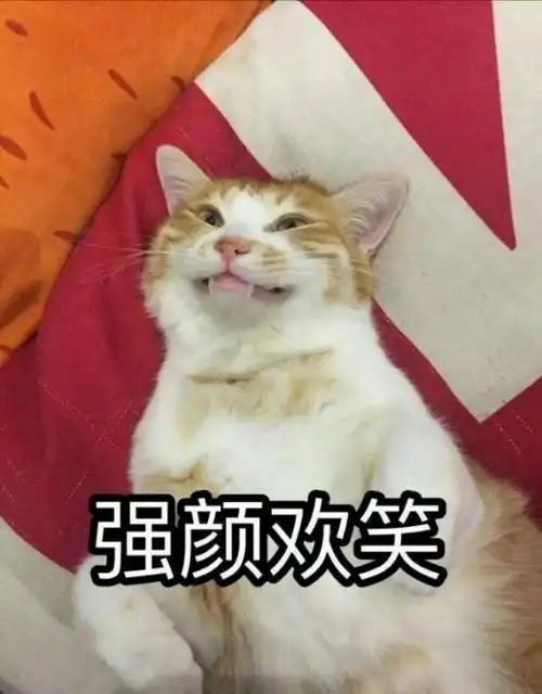 萌宠gif喵星人gif强颜欢笑gif假装开心的样子gif呆萌gif可爱gif