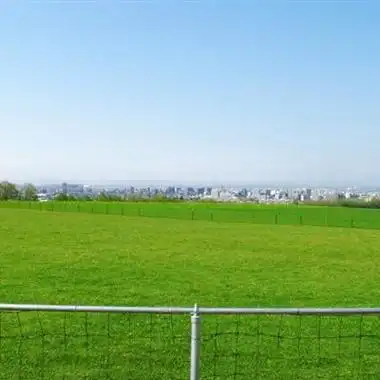 微信头像女草坪 女生头像图片大全 -【爱个性】