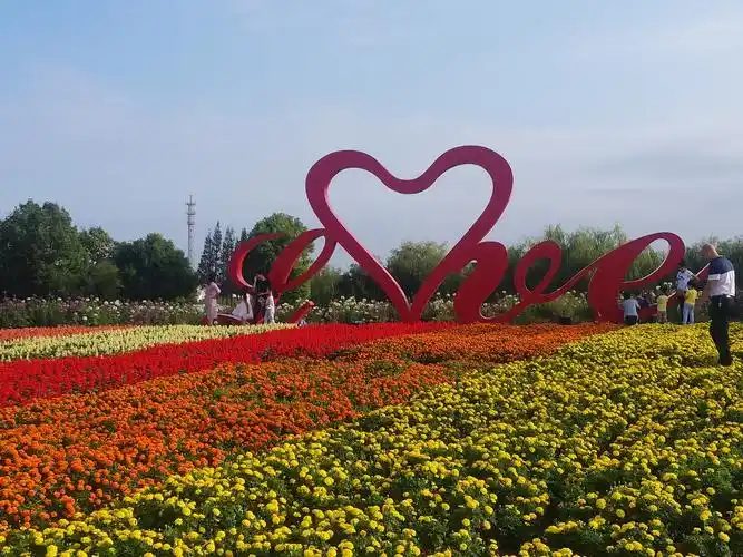 倩风光正是今日好,十月天,金风起.——上海周浦花海