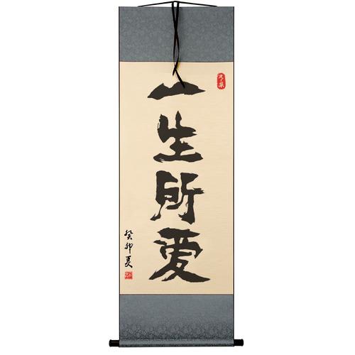 一生所爱手写书法小卷轴办公室卧室客厅玄关书房毛笔字字画挂画