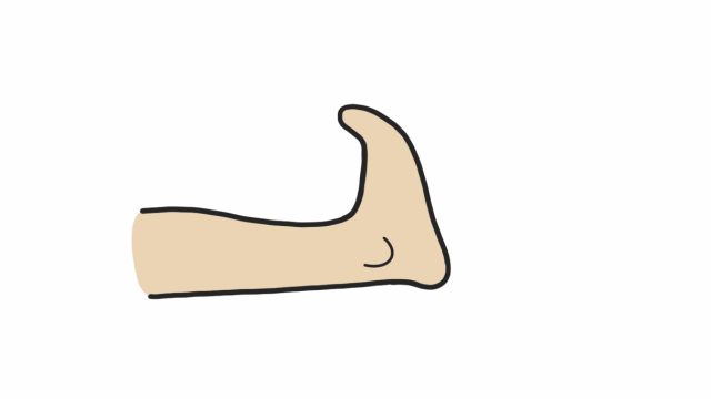 【踝泵运动 示意图】【等张收缩锻炼 示意图】【抗阻力功能锻炼 示意