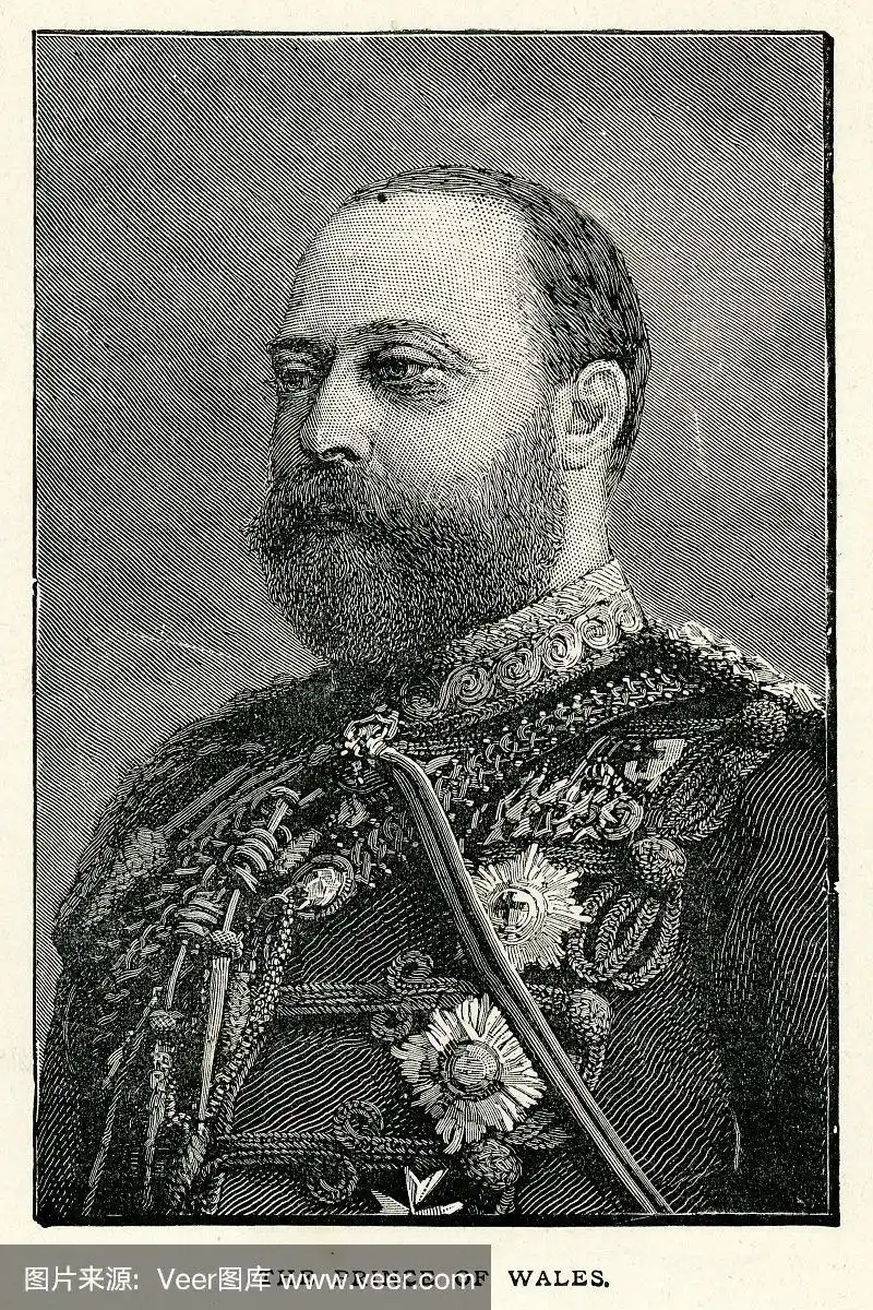 爱德华七世,垂直画幅,络腮胡子,古董,王子