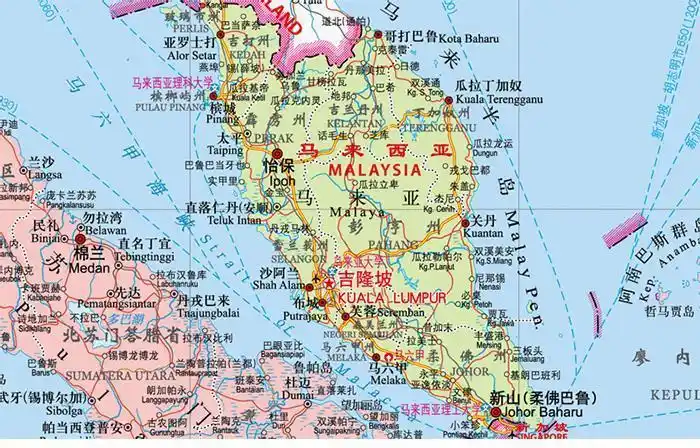 小鹦鹉鱼应该怎么养