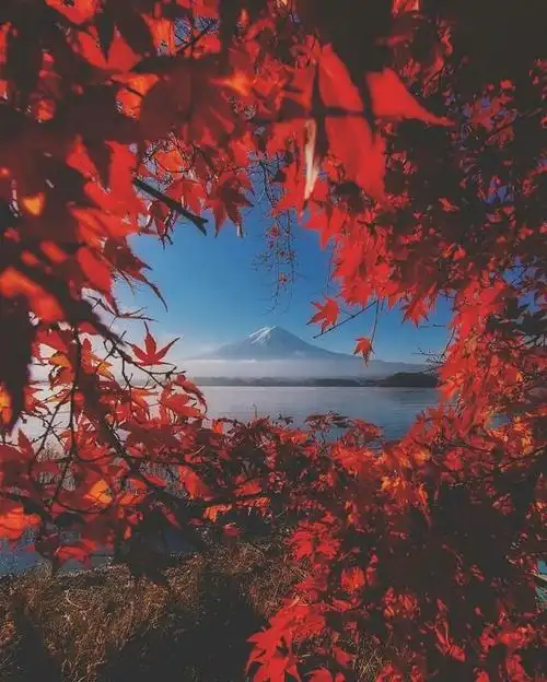 100张世界美景照片,中国的景色太仙,不能出国看这里吧太美了