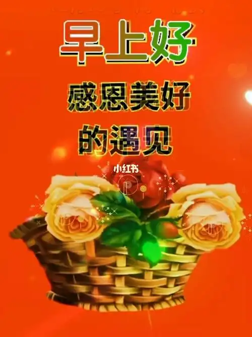 感恩美好的遇见#早安