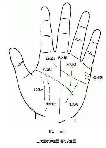 如何看手相之命运线