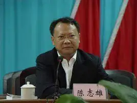 陈志雄(广州中医药大学第三临床医学院院长)