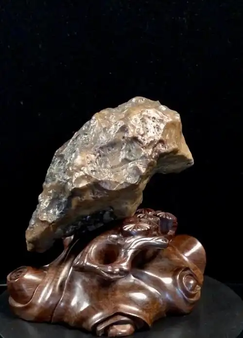 内蒙阿拉善戈壁奇石-沙漠漆-象形石