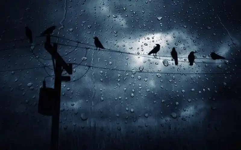 壁纸主题 ios7雨滴主题下载,—应用  软件