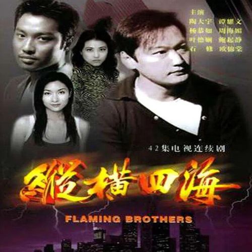 姝择电视剧纵横四海dvd光盘 陶大宇 周海媚 谭耀文 42集 8碟盒装
