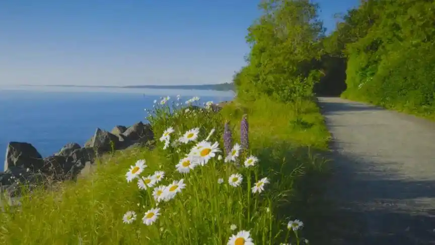 自愈 在试炼的终点是花开万里, 愿你以渺小启程,以伟大结束.