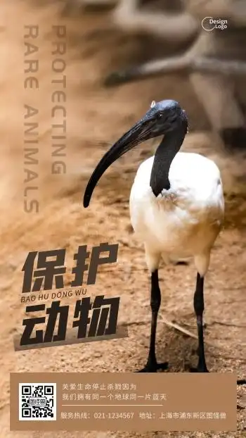 保护动物公益宣传摄影图海报