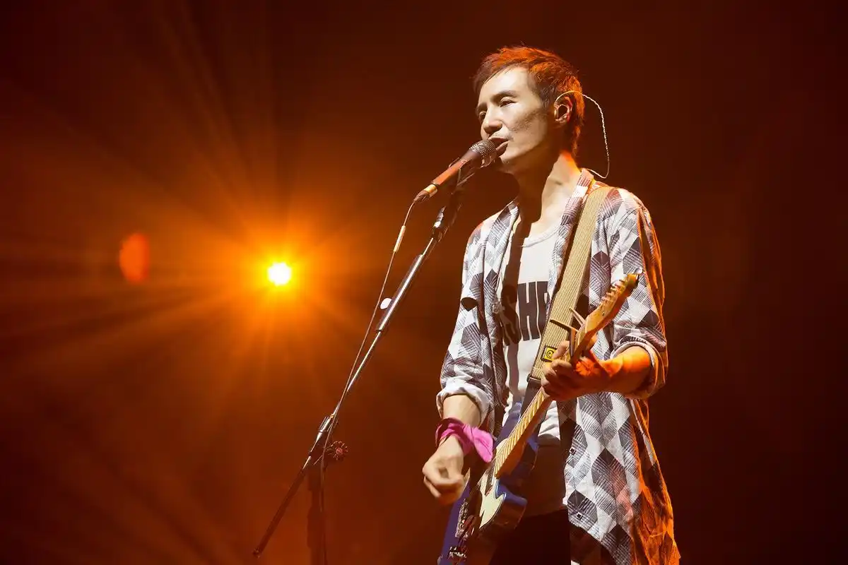 朴树图片(朴树盆景图片)