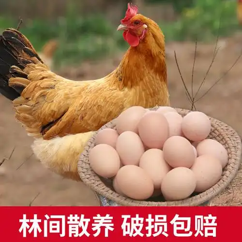 春萃土鸡蛋40枚正宗山林散养新鲜柴鸡蛋老母鸡草鸡蛋孕妇宝宝辅食